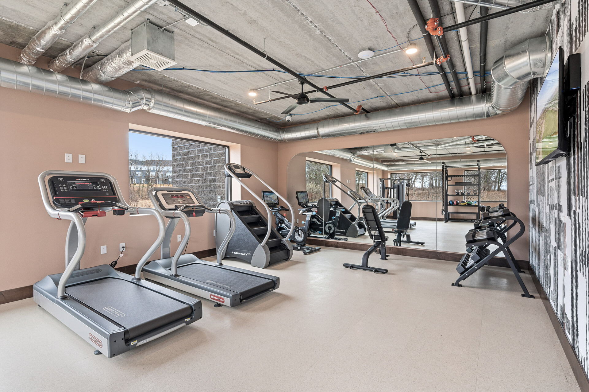 treadmills and gym equipment in gym space